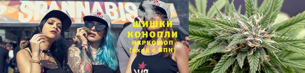 спиды Арсеньев