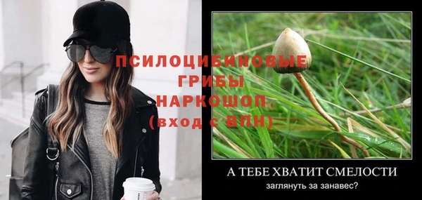 спиды Арсеньев