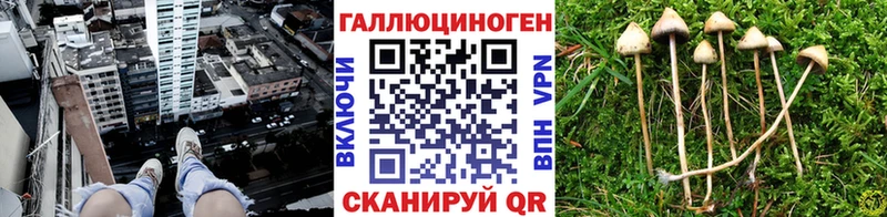Галлюциногенные грибы MAGIC MUSHROOMS  OMG как войти  Великий Устюг 